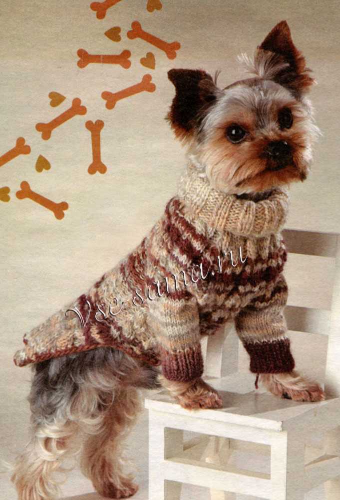 Knitting patterns for dog jerseys