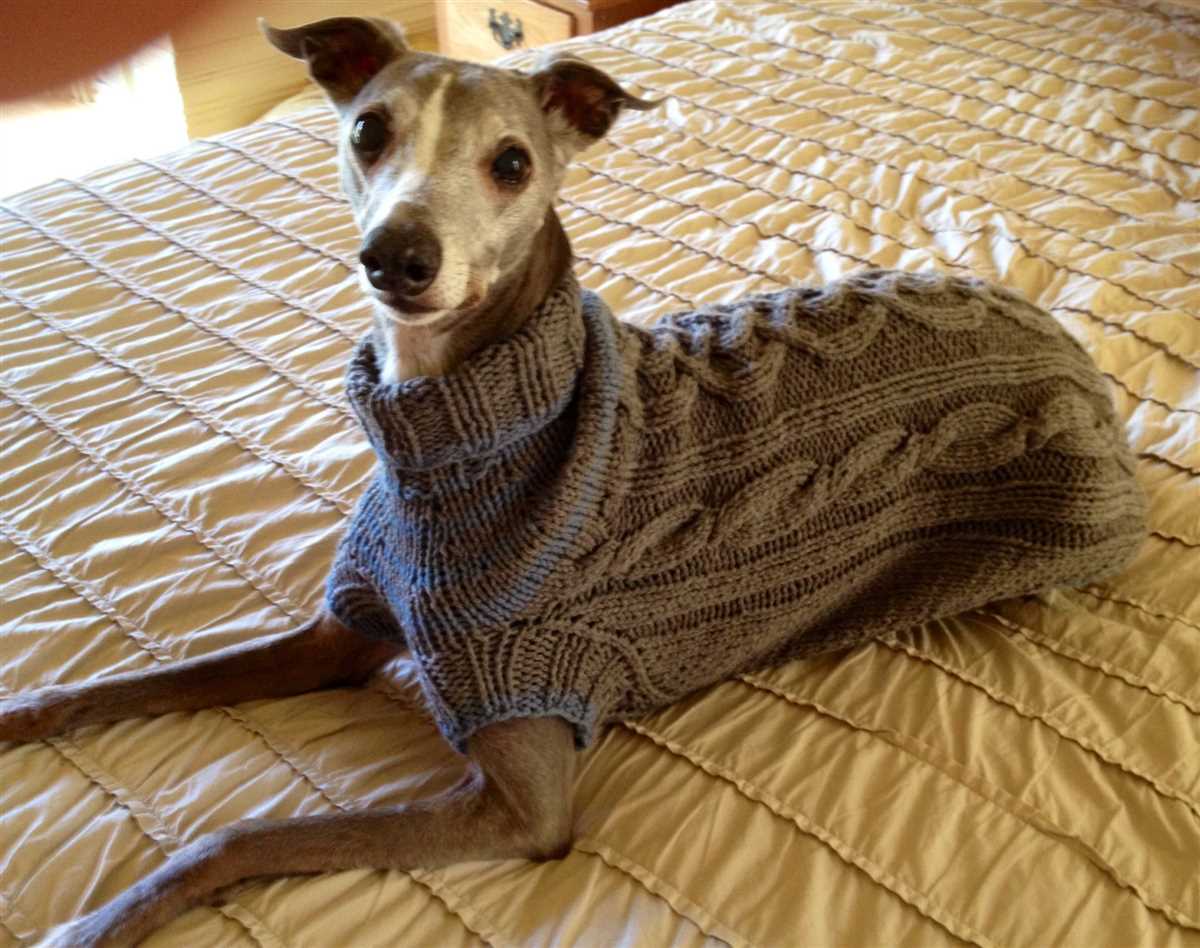 Greyhound jumper knitting pattern