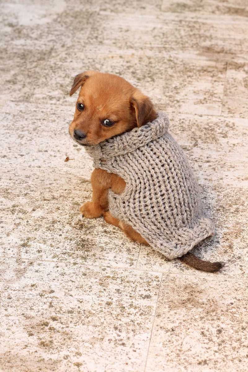 Extra small dog sweater knitting pattern free