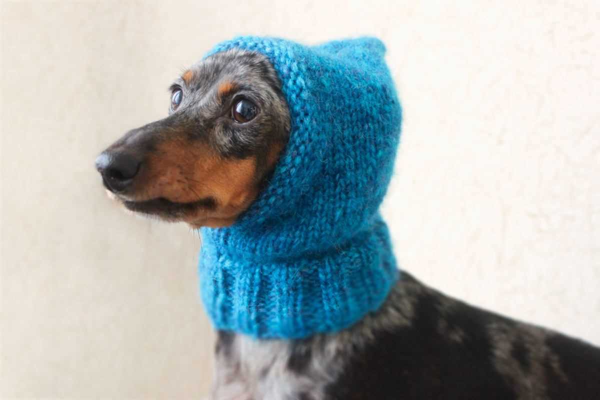 Knit hat for dog pattern