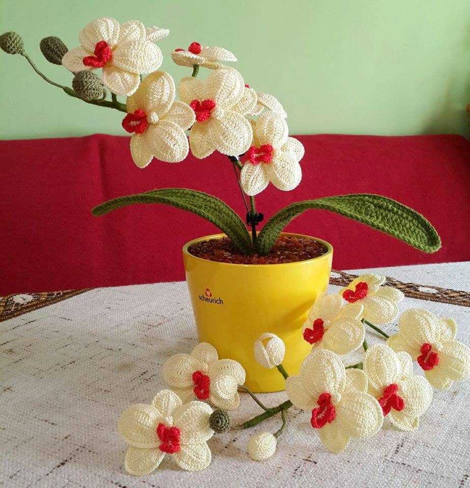 Primrose knitting pattern
