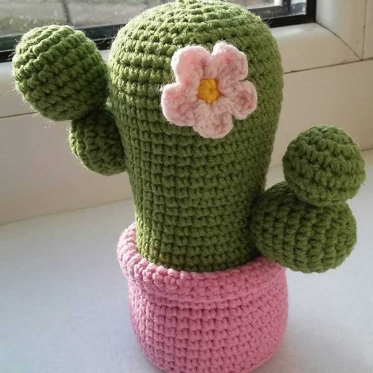 Knitted cactus plant pattern free