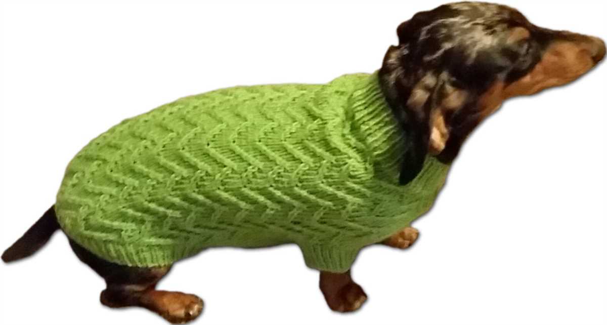 Mini-dachshund sweater knitting pattern free
