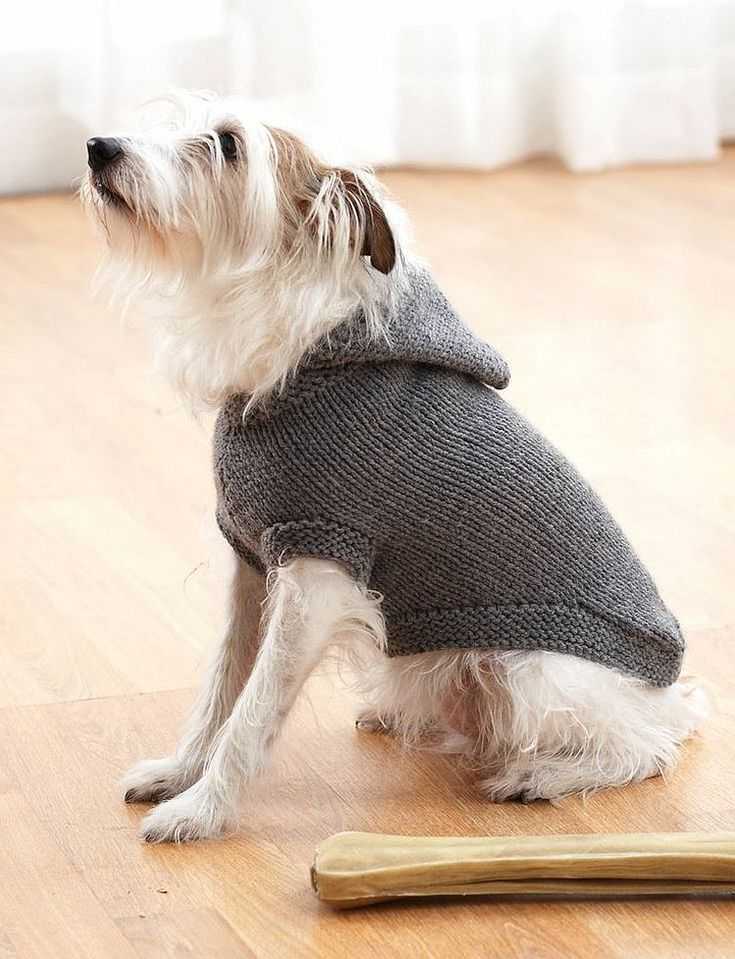 Dog sweater knitting pattern chihuahua