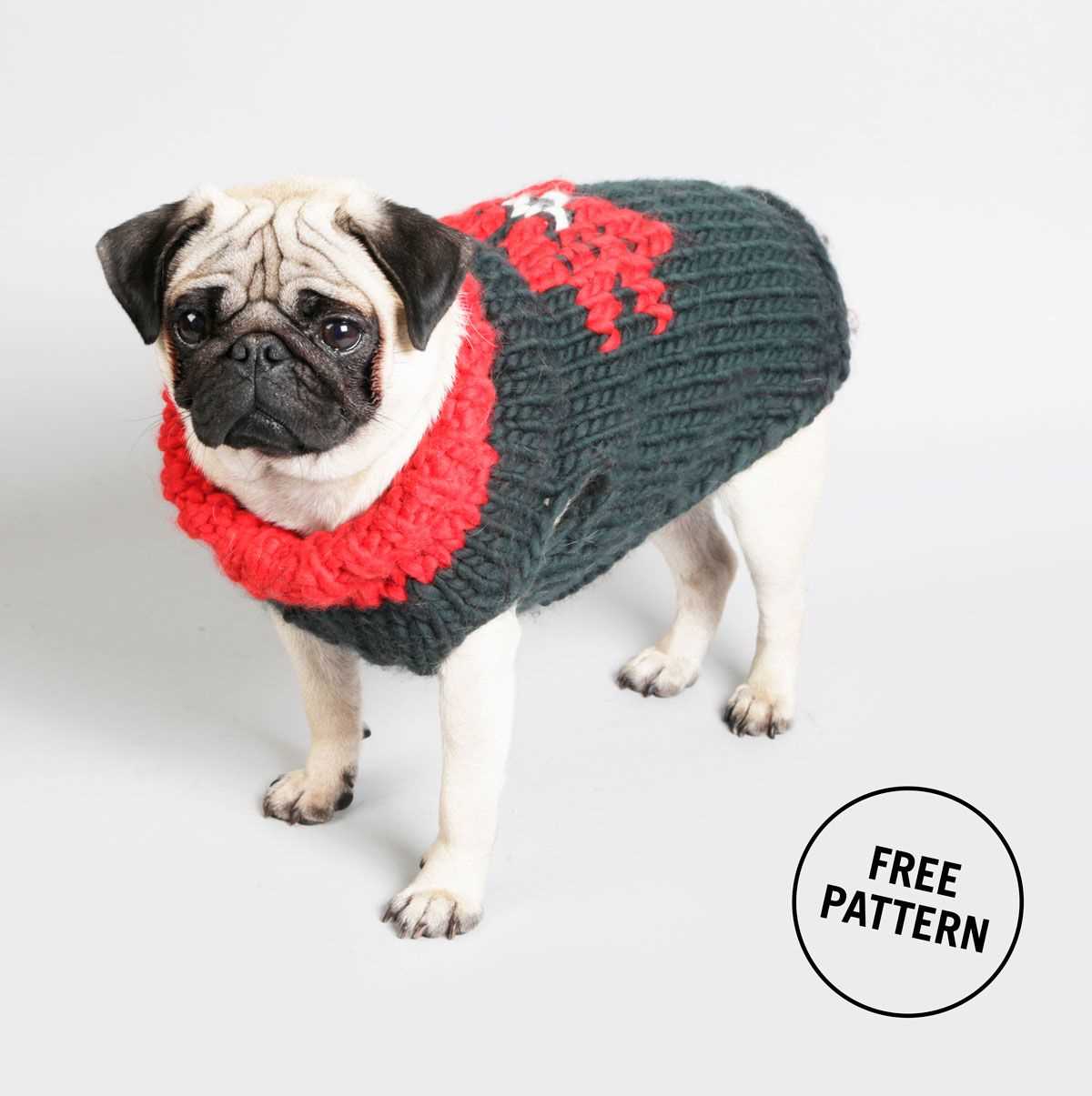 Knitting pattern for english bulldog sweater
