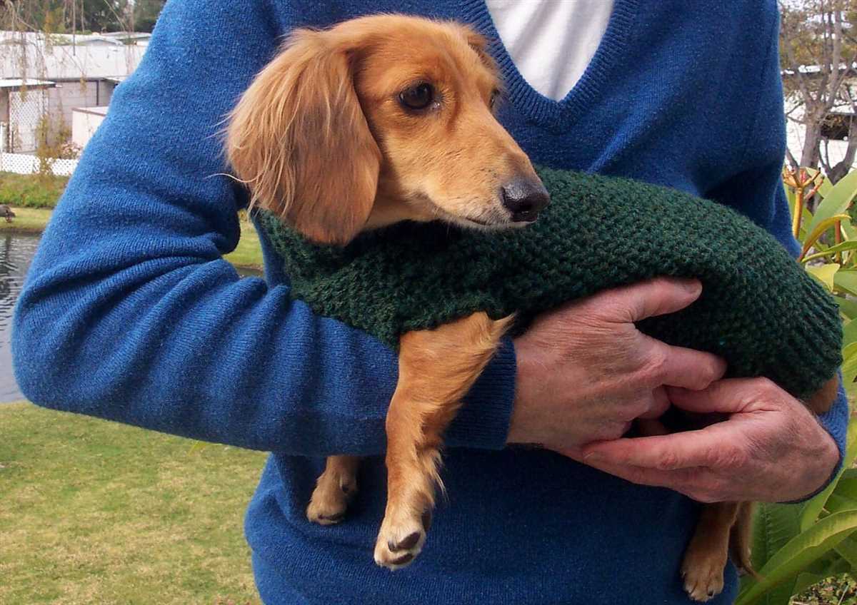 Knitting patterns for dachshund dog sweaters