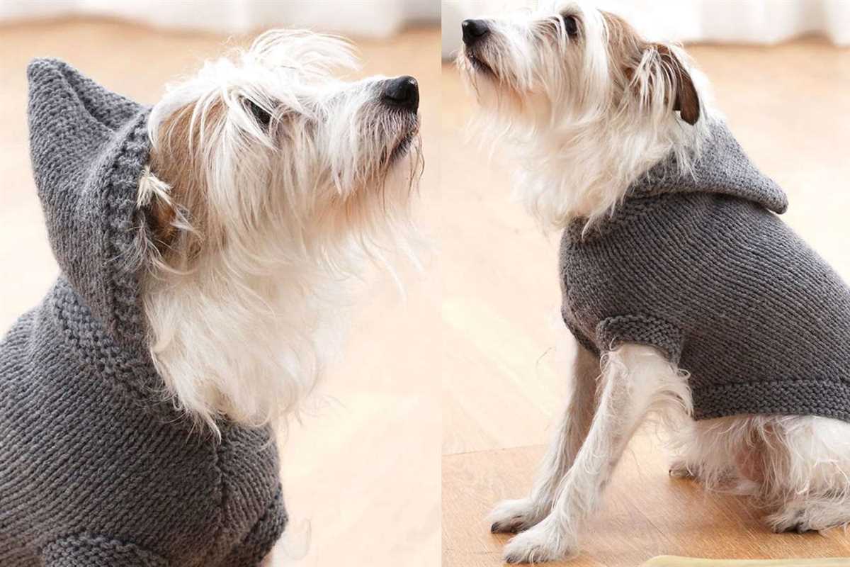 Free knitting pattern for dog coats