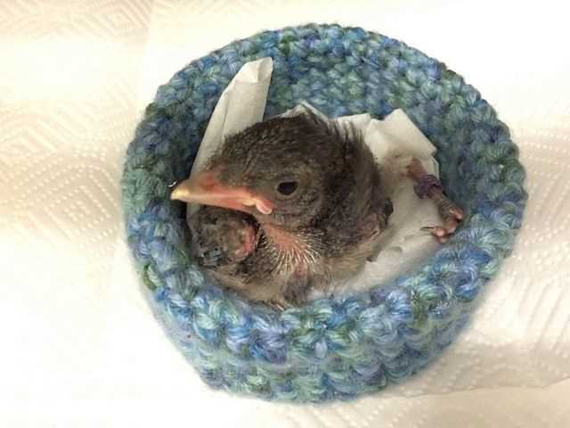 Knitted nest pattern
