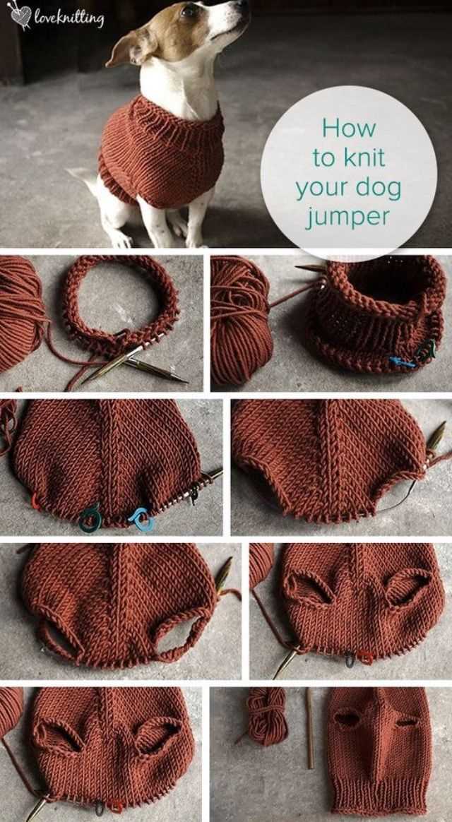 Beginner easy knit dog sweater patterns free