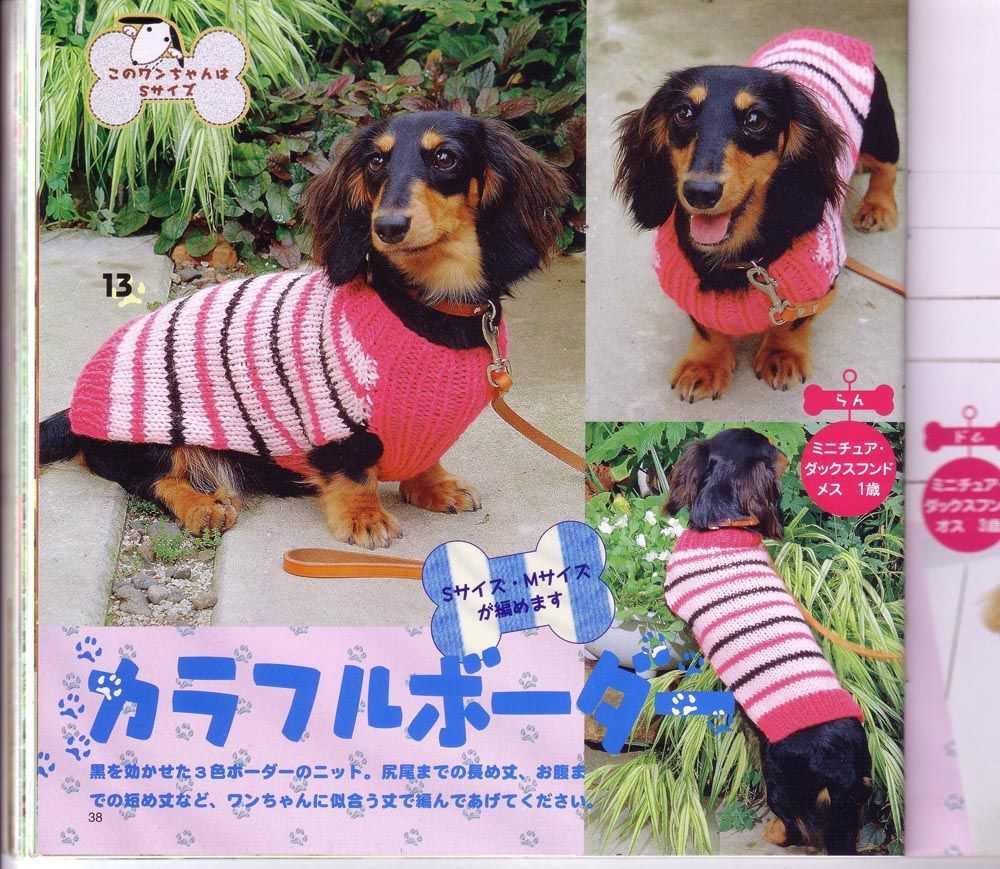 Free knitting pattern for dog coats