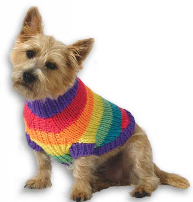 Beginner easy knit dog sweater patterns free