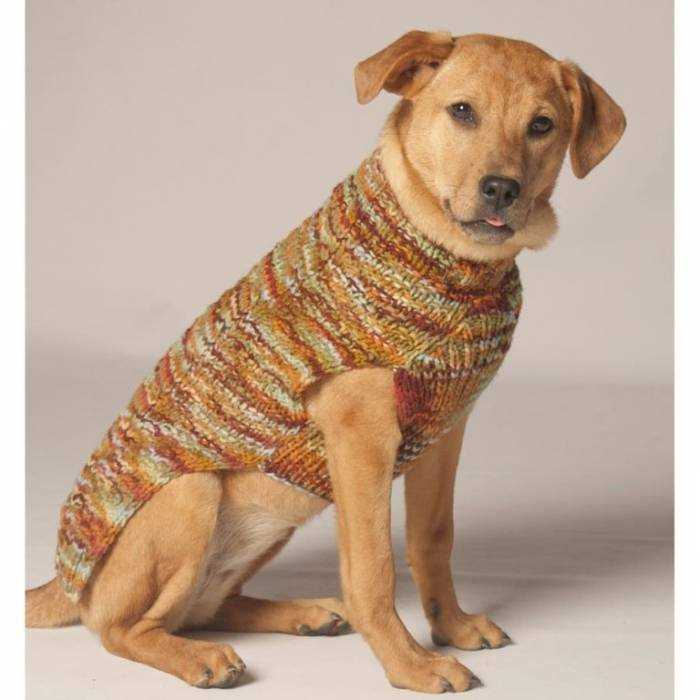 Dog sweater knitting pattern beginner