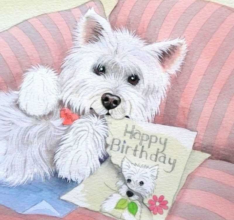 Westie knitting pattern