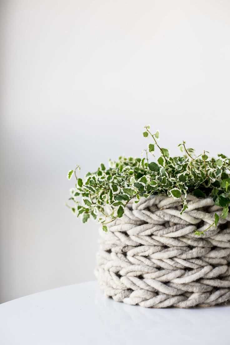 Plant cozy knitting pattern