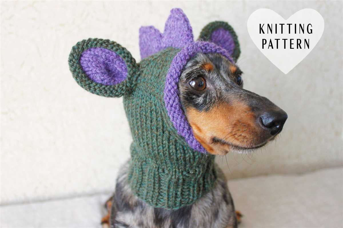 Easy dog hat knitting pattern