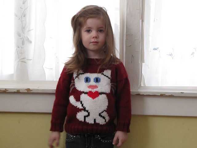 Cat cardigan knitting pattern