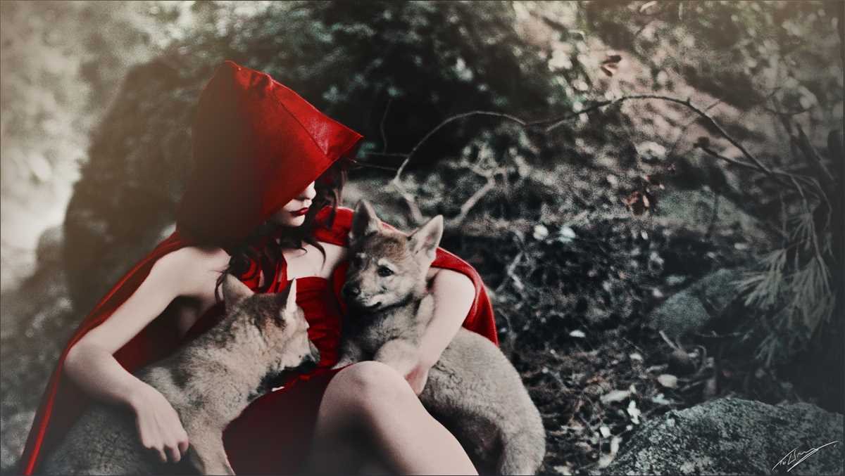 Red riding hood knitting pattern free