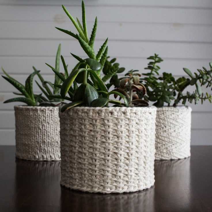 Plant cozy knitting pattern