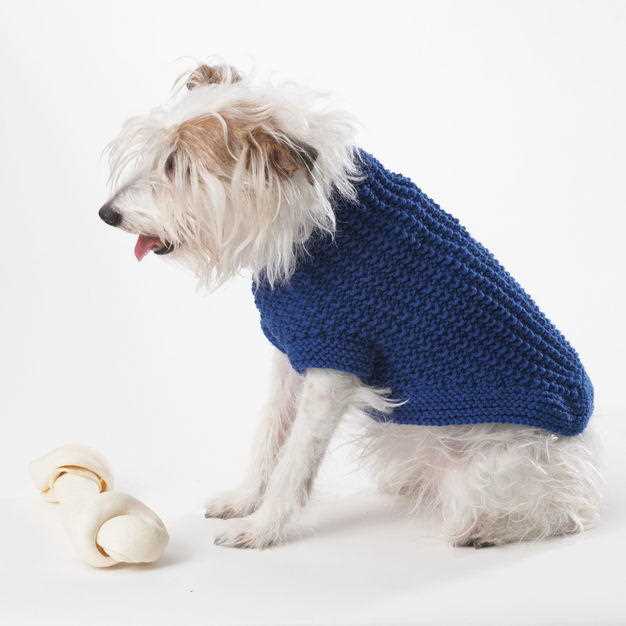 Knitting patterns for dog coats medium