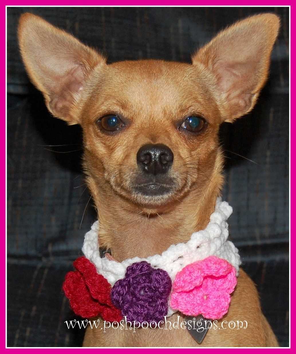 Knitted dog collar pattern