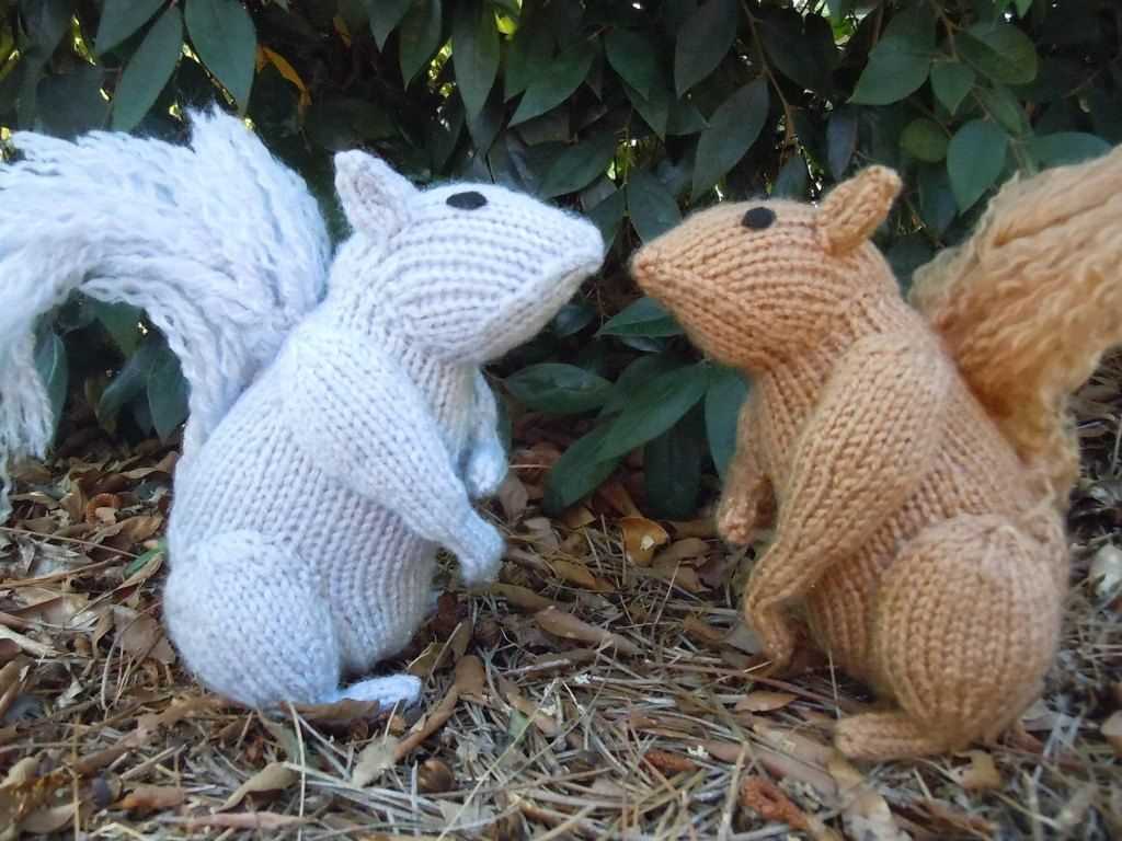 Squirrel knitting pattern