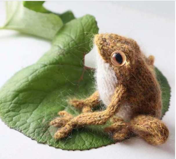 Knitting frog pattern