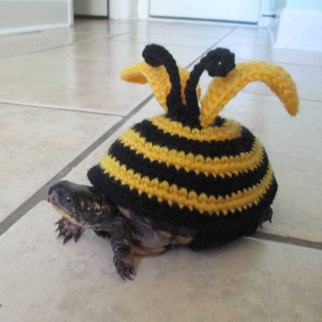 Tortoise sweater knitting pattern