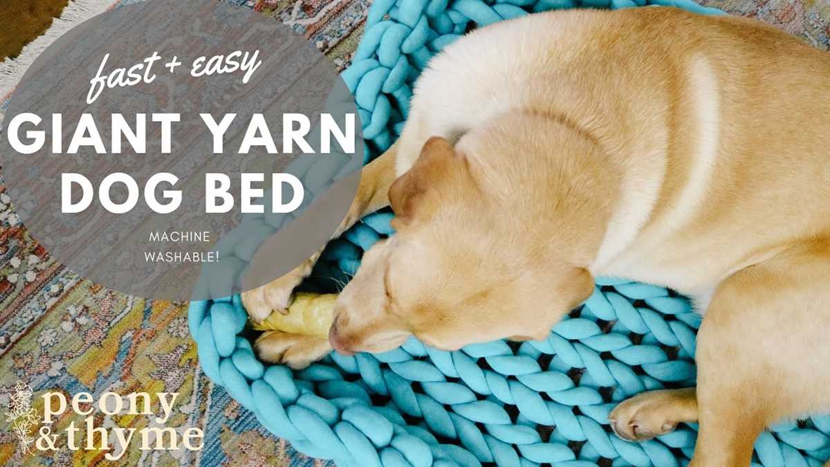 Knitted dog bed pattern free