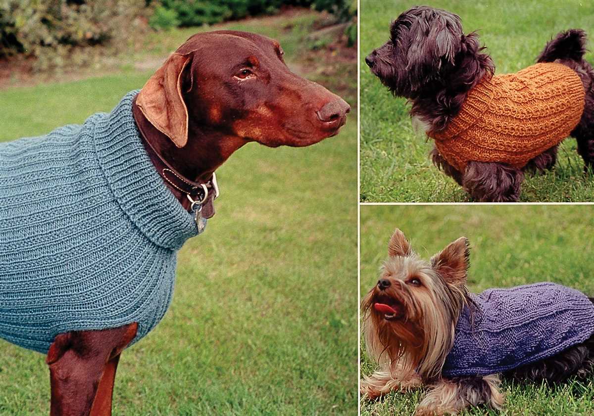 Knitted sweater patterns for large dogs