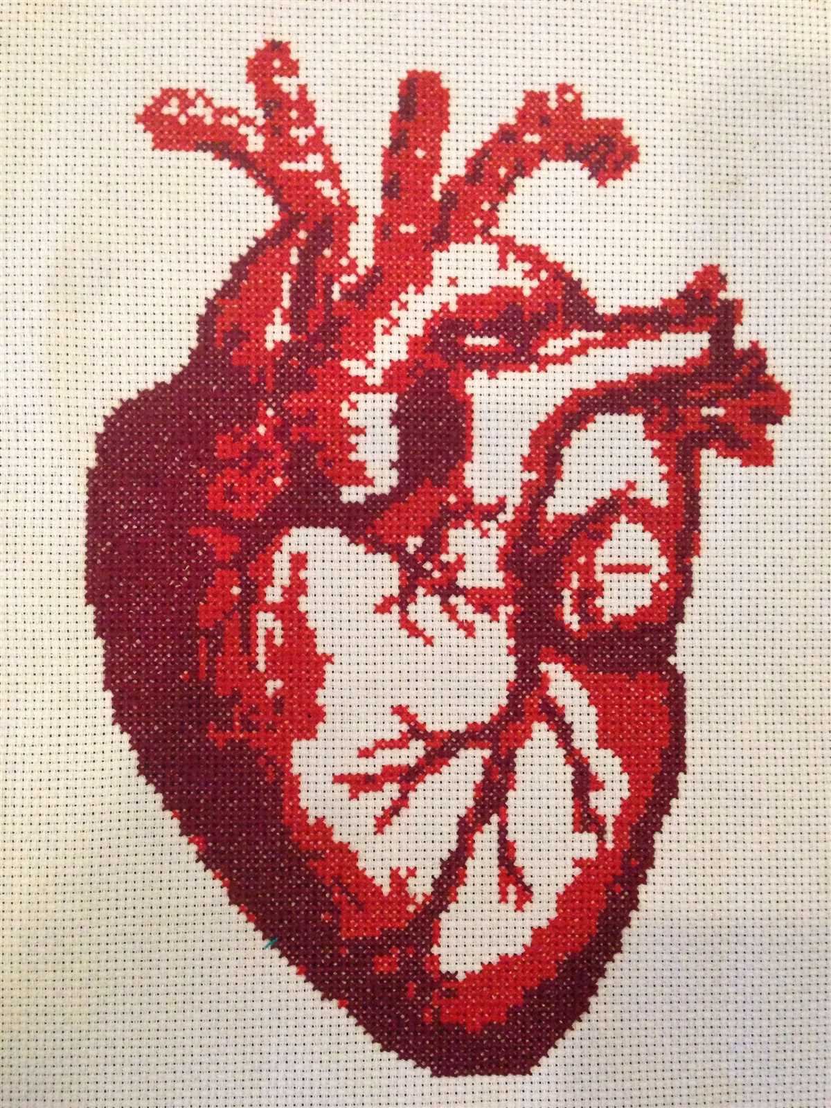 Anatomical heart knitting pattern