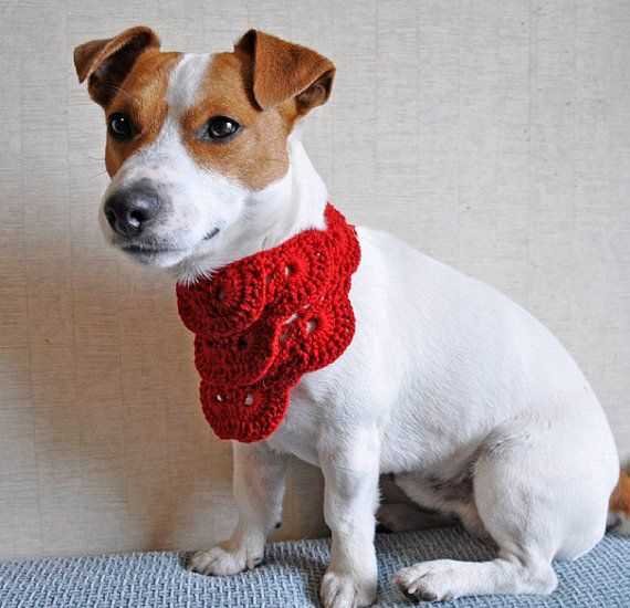 Dog bandana knitting pattern free