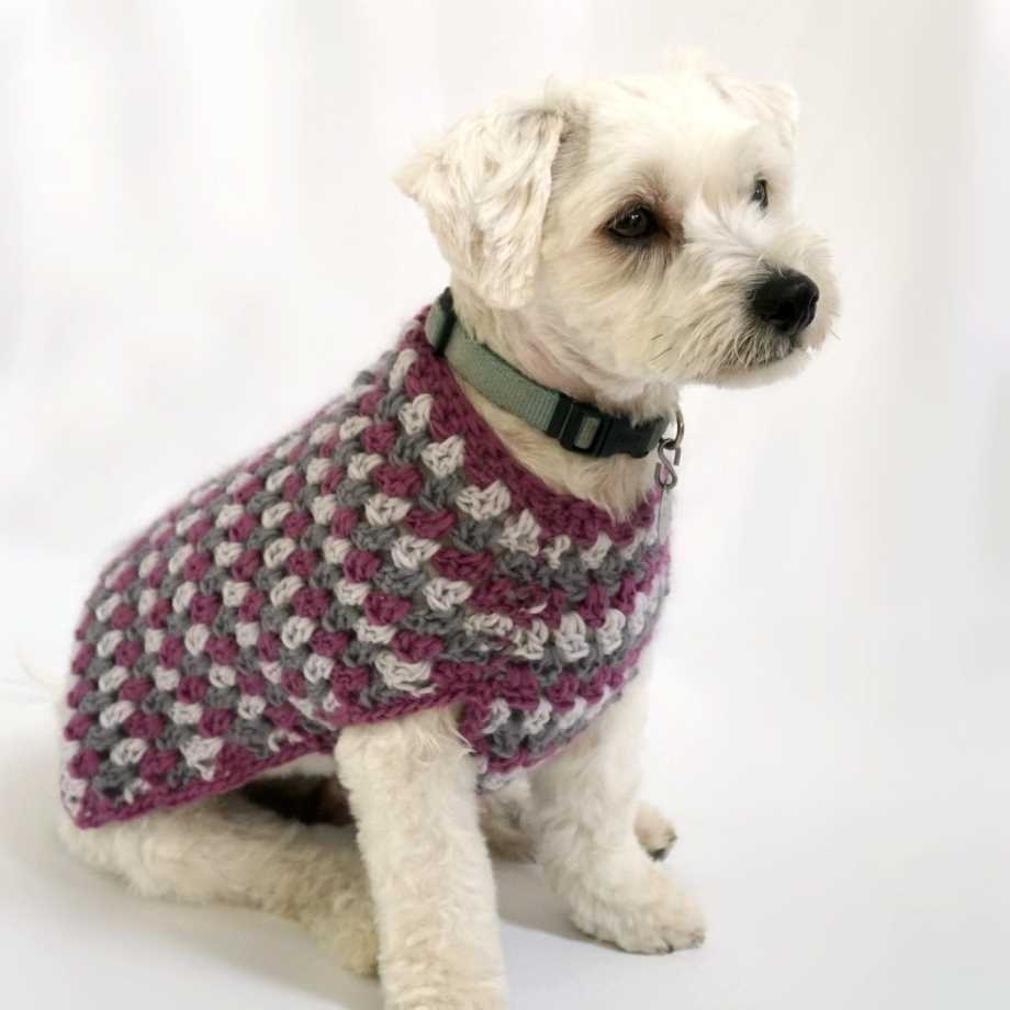Knitting pattern for dog coat free