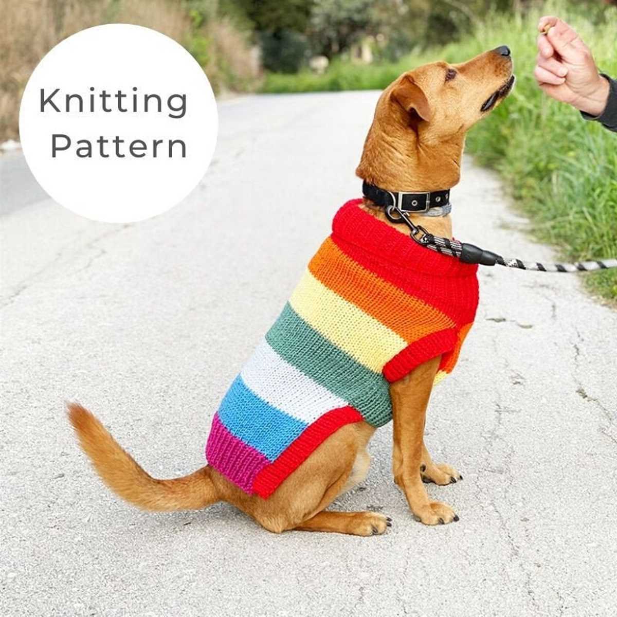 Knit dog jumper pattern