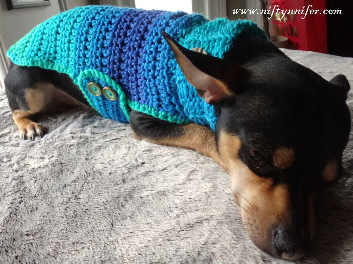 Chihuahua sweater knitting pattern free