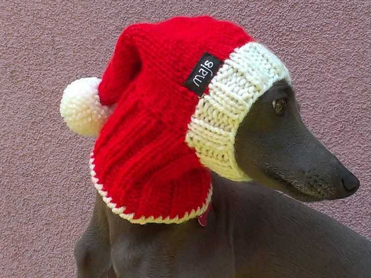 Christmas dog hat knitting pattern