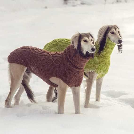 Italian greyhound knitting pattern