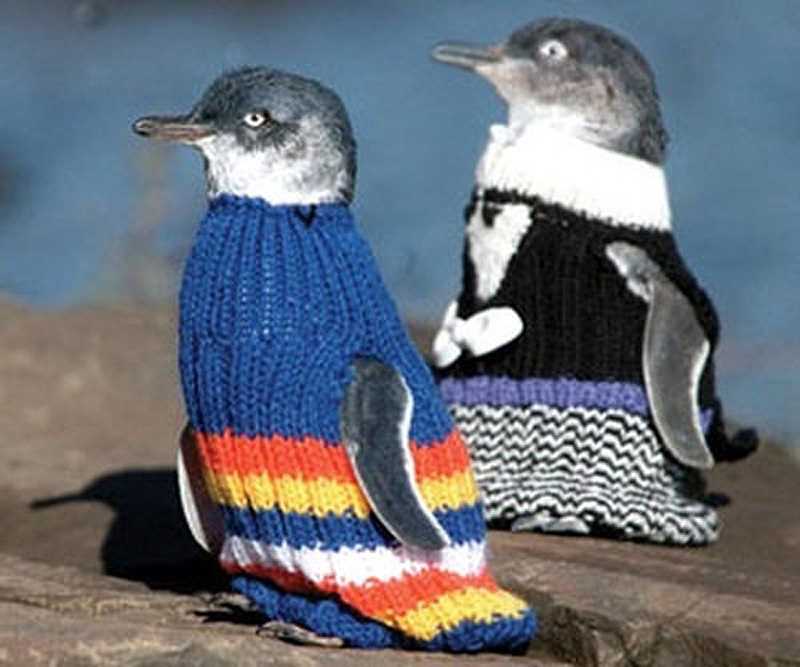 Penguin jumper knitting pattern free
