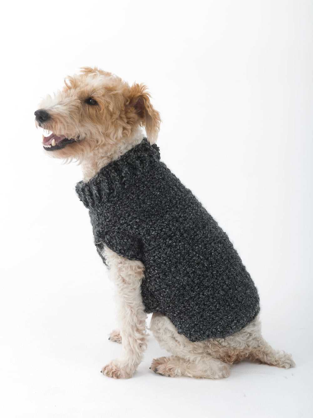 Knitting patterns for dog coats medium