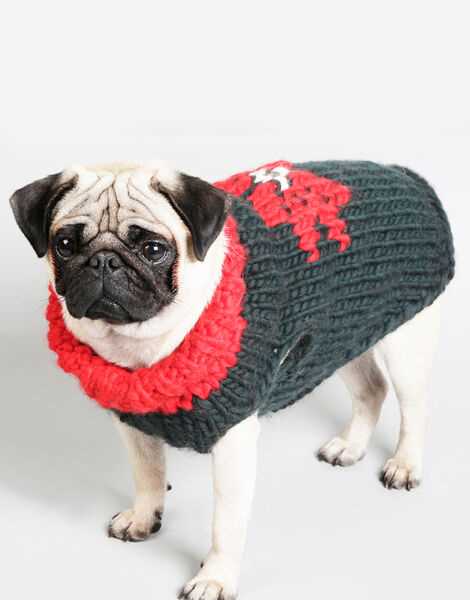 Striped dog sweater knit pattern