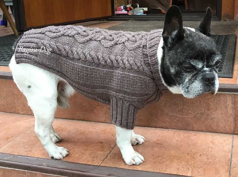 Harness-friendly dog sweater knitting pattern
