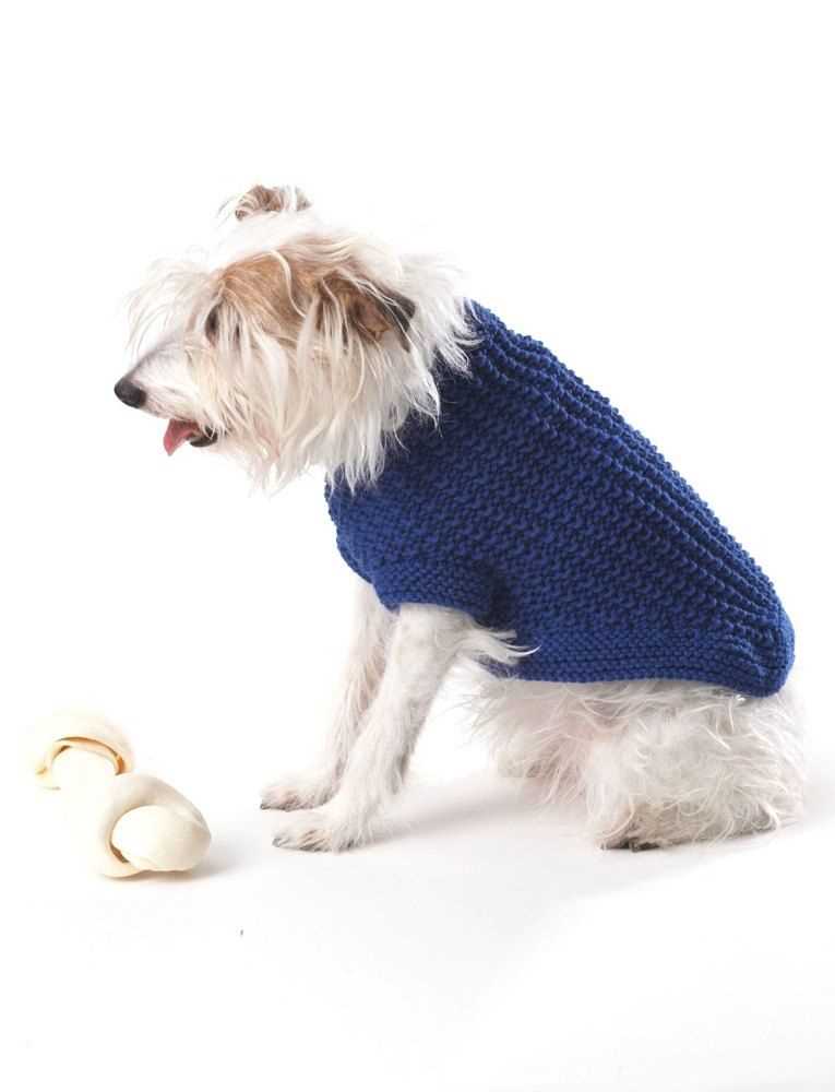 Easy knit dog coat patterns free