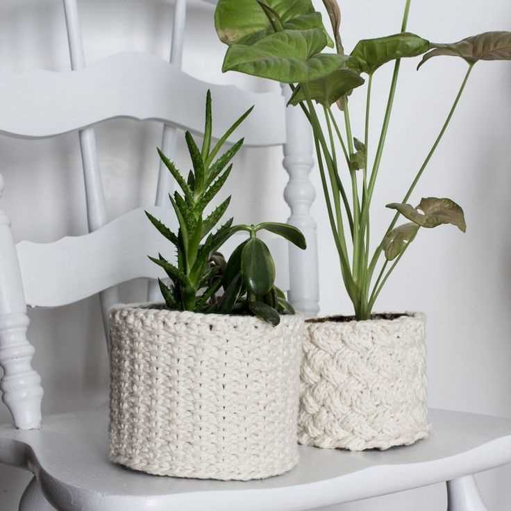 Plant cozy knitting pattern