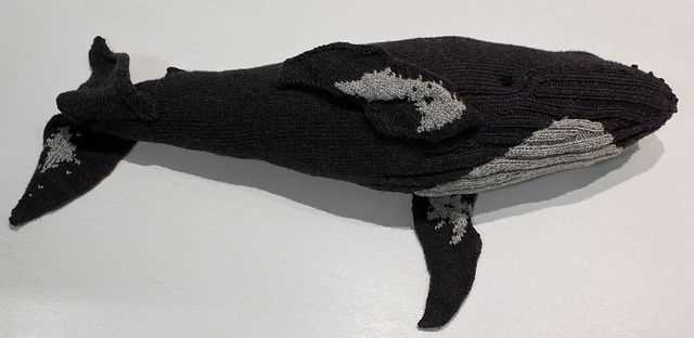 Knit whale pattern free
