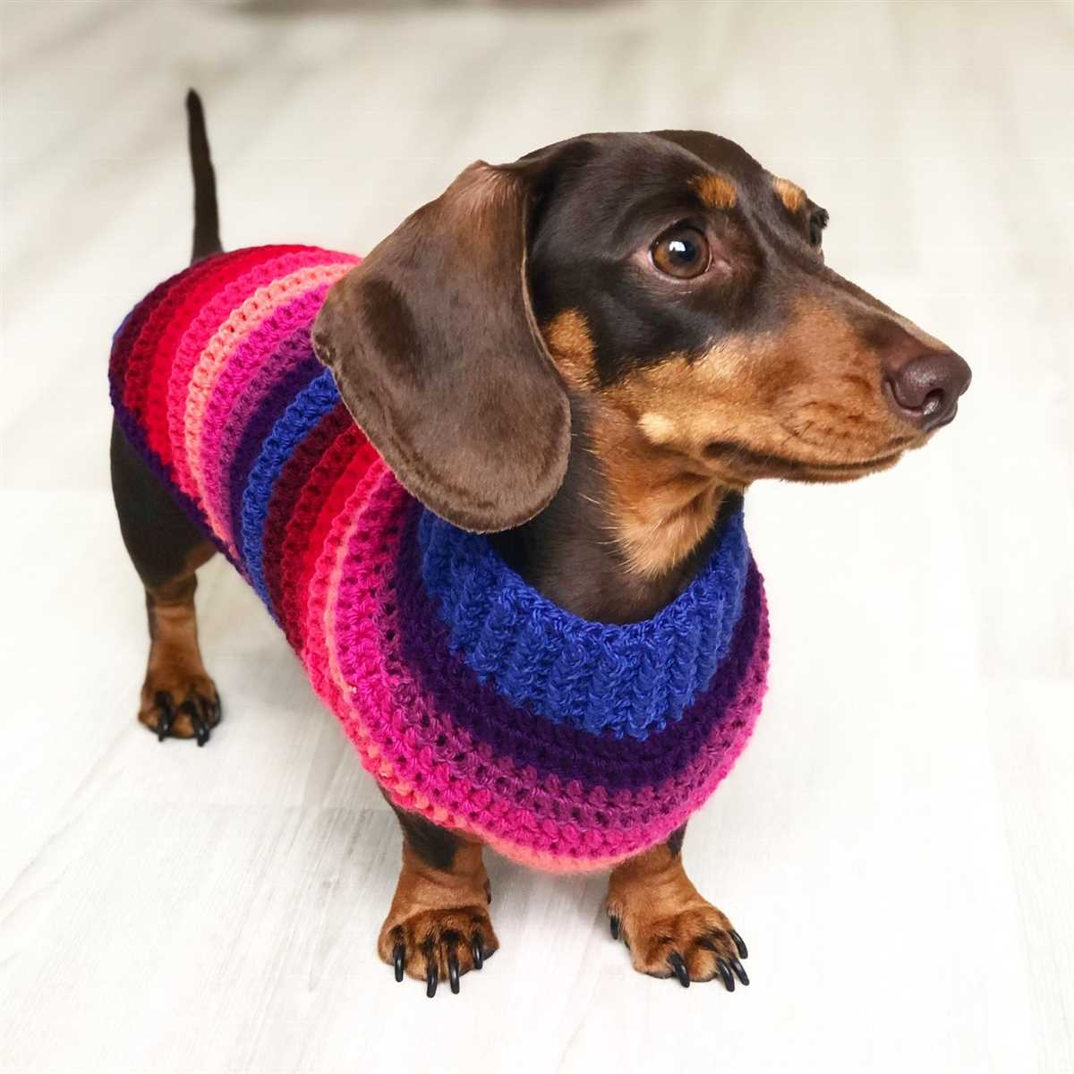 Dachshund jumper knitting pattern free