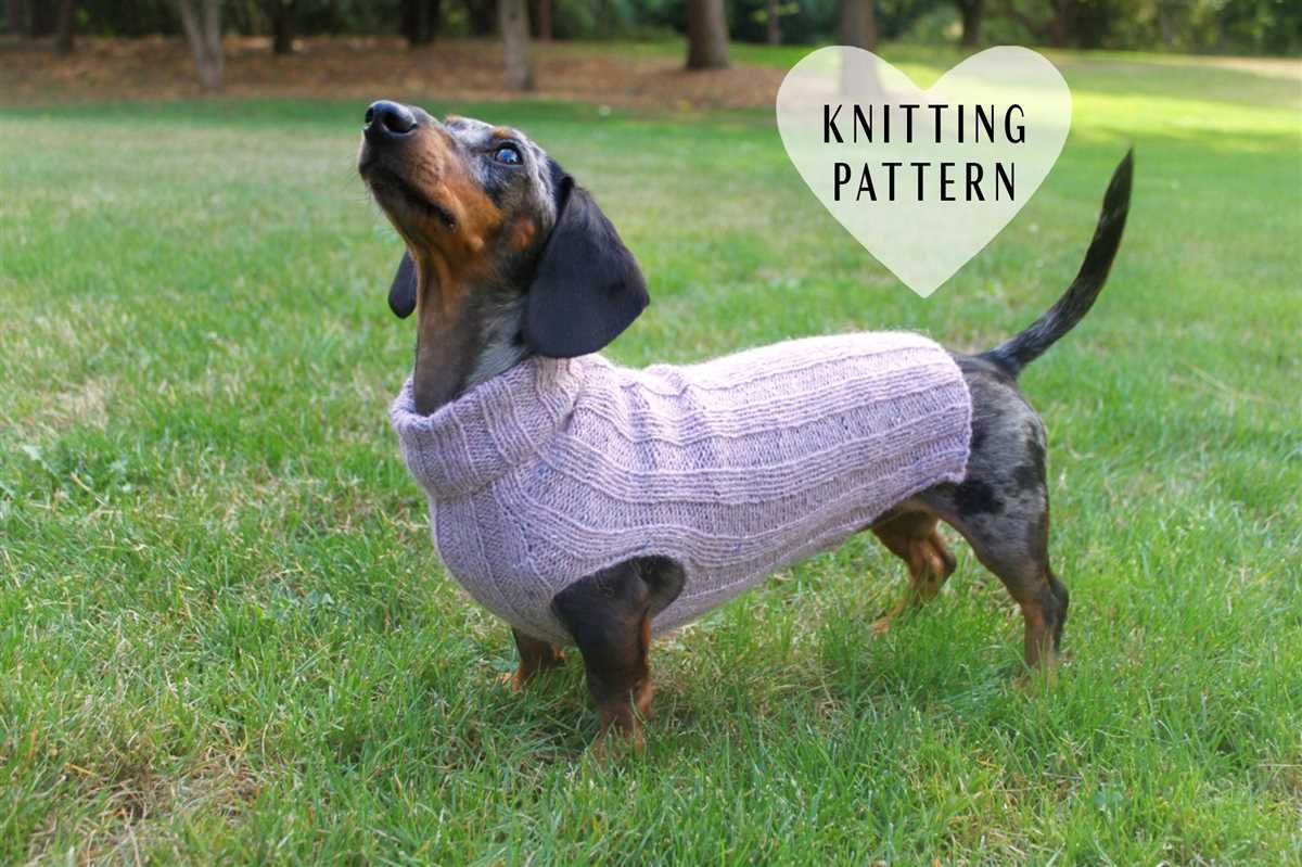 Mini-dachshund sweater knitting pattern free