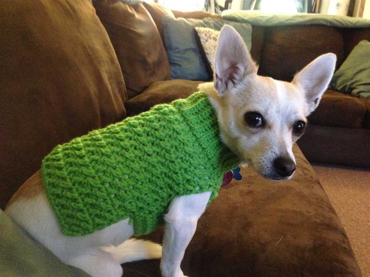Dog sweater knitting pattern chihuahua