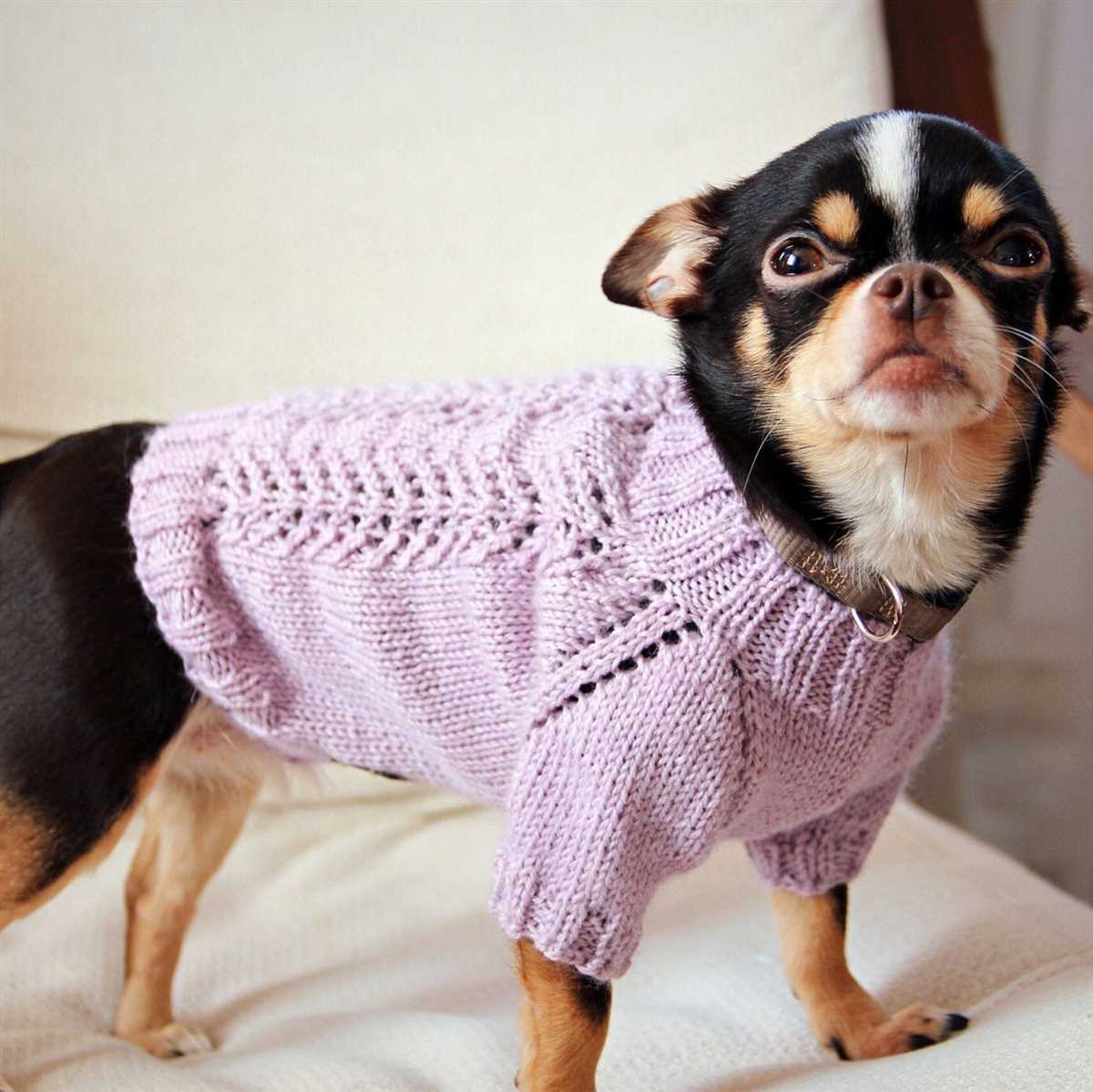 Beginner easy knit dog sweater patterns free