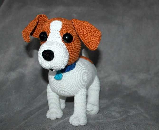 Free jack russell knitting pattern
