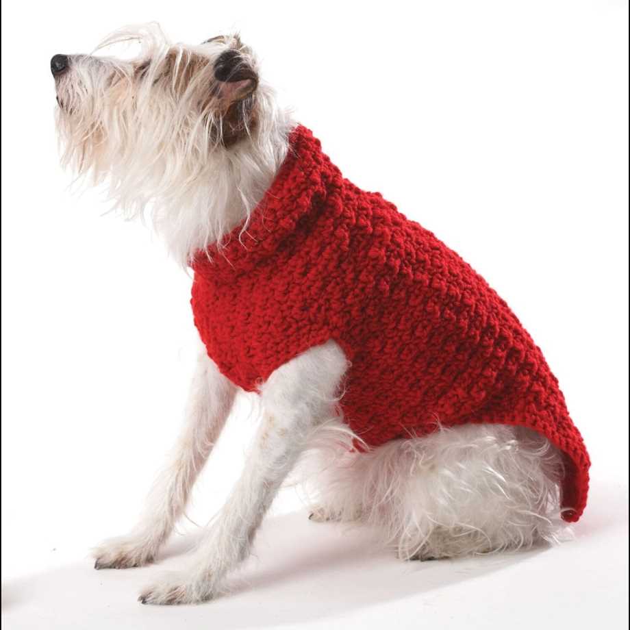 Beginner easy knit dog sweater patterns free