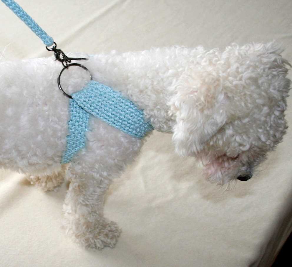 Create a Stylish Dog Harness with This Knitting Pattern Knitted dog harness pattern